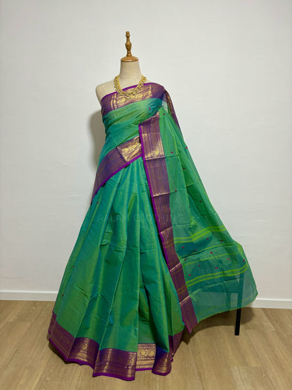 Cotton Saree - Green w Purple Border