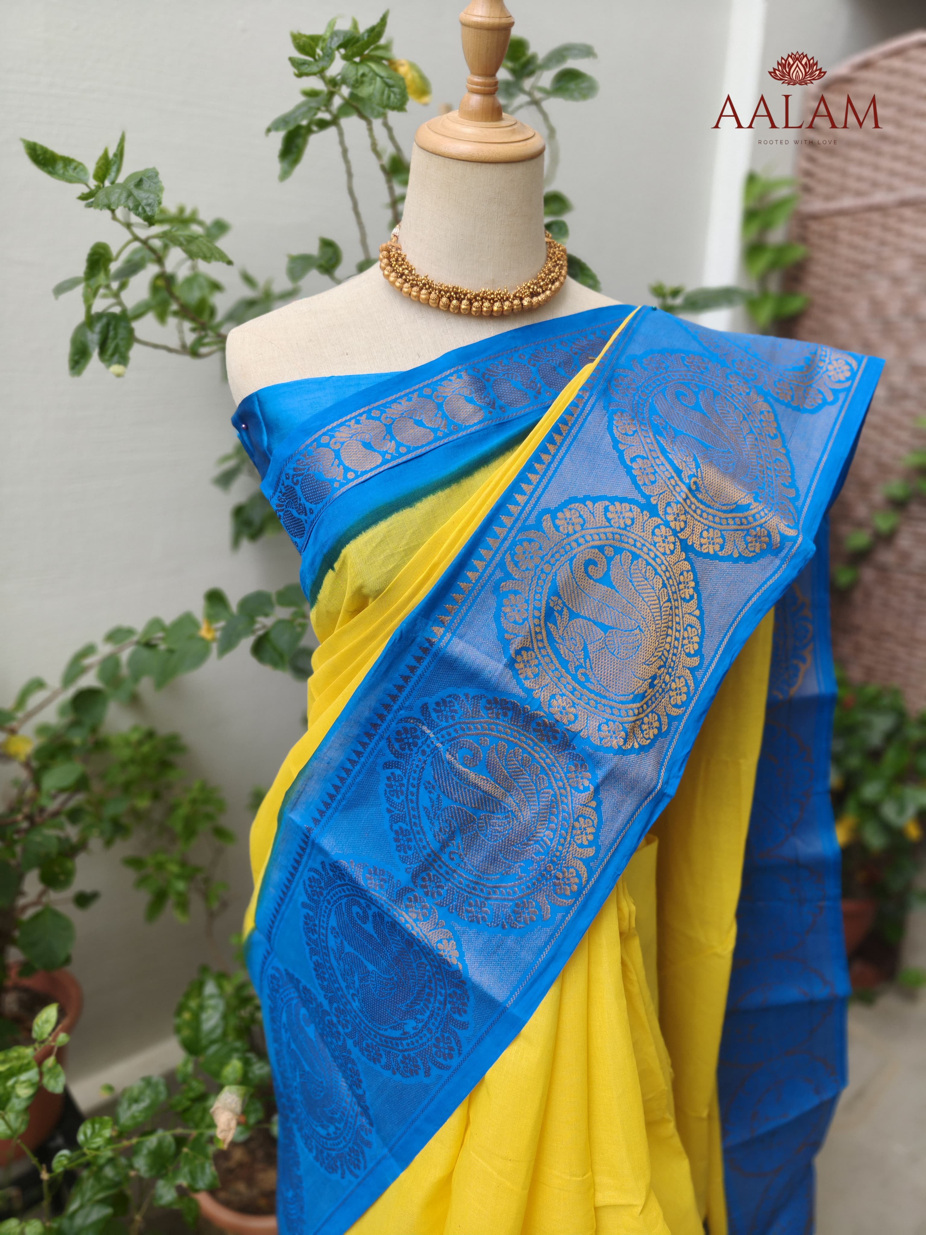 Madurai Mayil Long Border Saree - Yellow & Blue