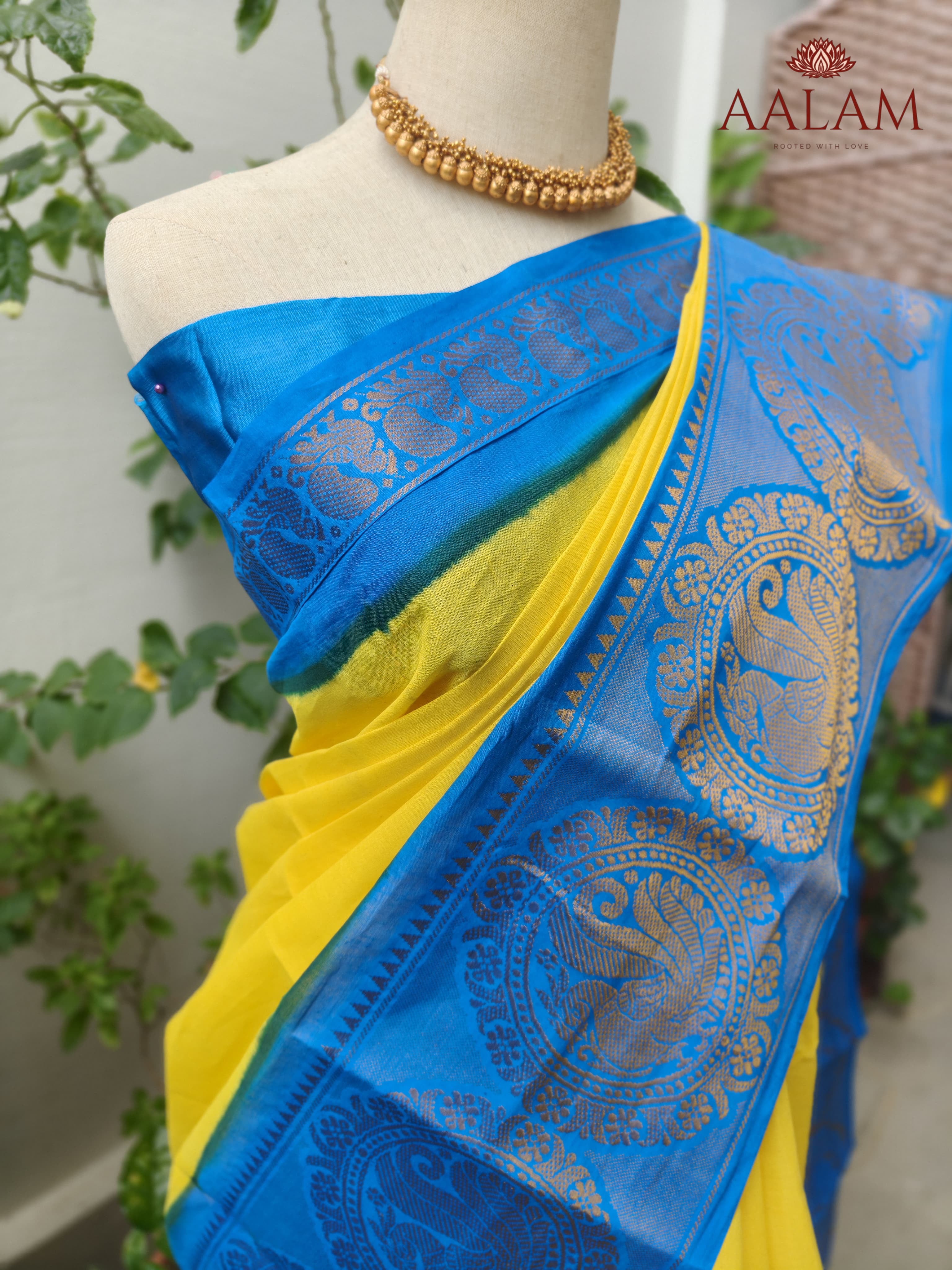 Madurai Mayil Long Border Saree - Yellow & Blue