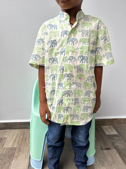 Boy Short Sleeve Shirt - Green & Blue Elephant Prints