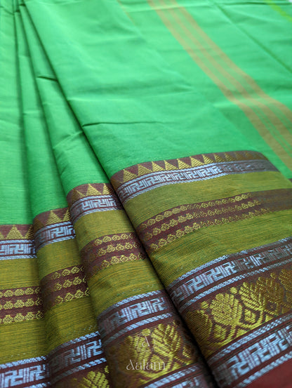 Cotton Saree - Parrot Green with Red & Silver Border