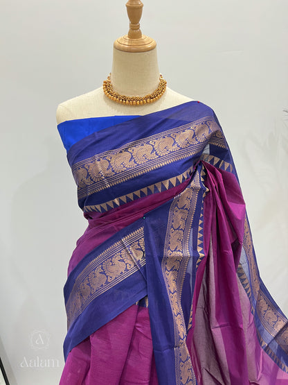 Cotton Saree - Mayil Border  Purple & Blue